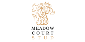 Meadow Court Stud, Ireland