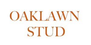 Oaklawn Stud, Ireland