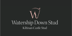 Watership Down Stud