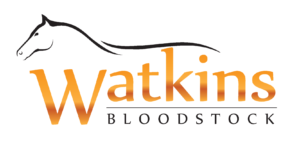 Watkins Bloodstock, Swordlestown Stud, Ireland