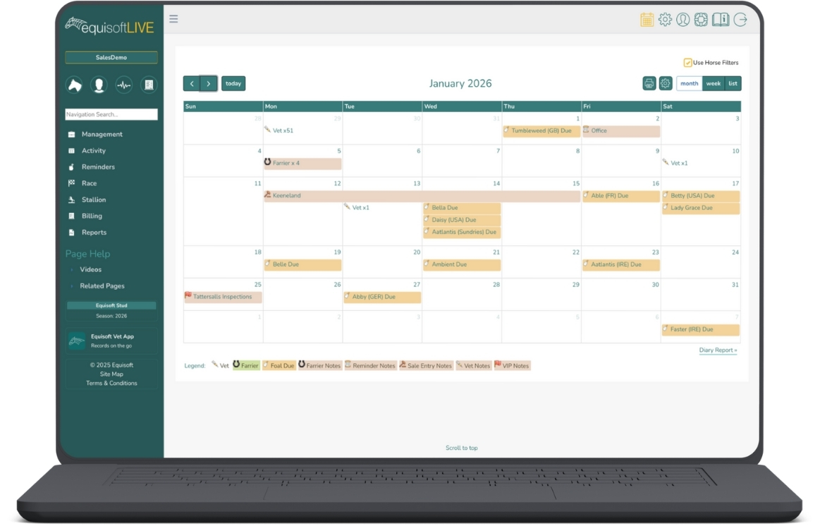 EquisoftLive Standard Package Dashboard