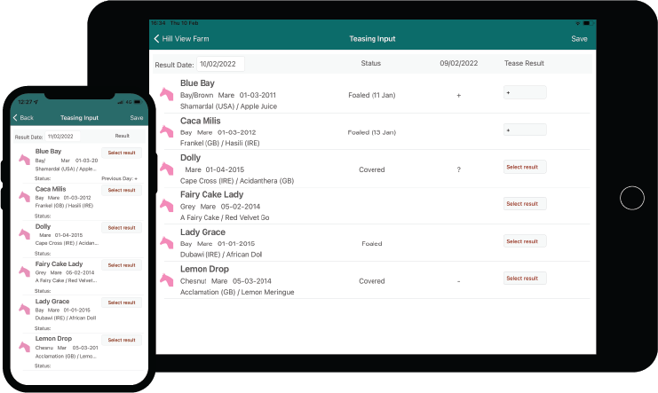EquisoftLive Additional User Logins Package Staff Roles